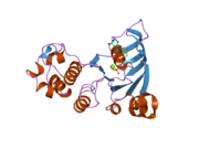 PDB 2cbz EBI.png