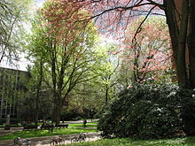 The South Park Blocks run through the central campus of Portland State University. PSU campus in spring 07.JPG