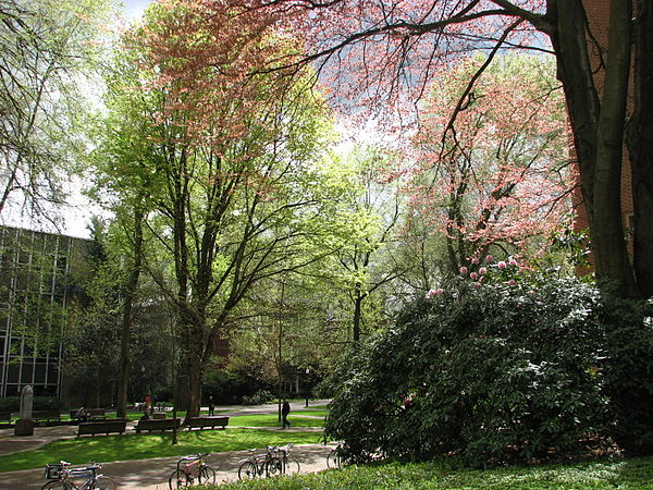 The South Park Blocks run through the central campus of Portland State University.