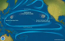 Carte du Pacifique nord, montrant les courants et les accumulations de déchets.