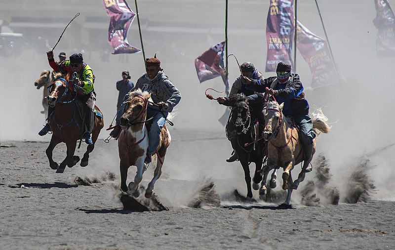 File:Pacuan kuda joki bromo.jpg