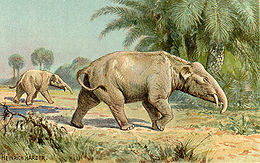 Rajz két Palaeomastodon-ról; az 1920-as évek körül
