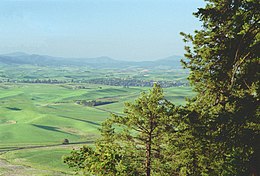 Palouse – Veduta