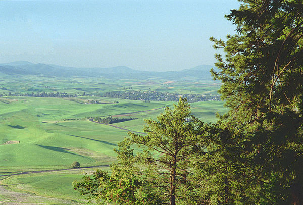 Palouse