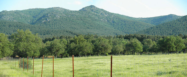 Vista de Sierra Madrona desde Valderrepisa, Fuencaliente.