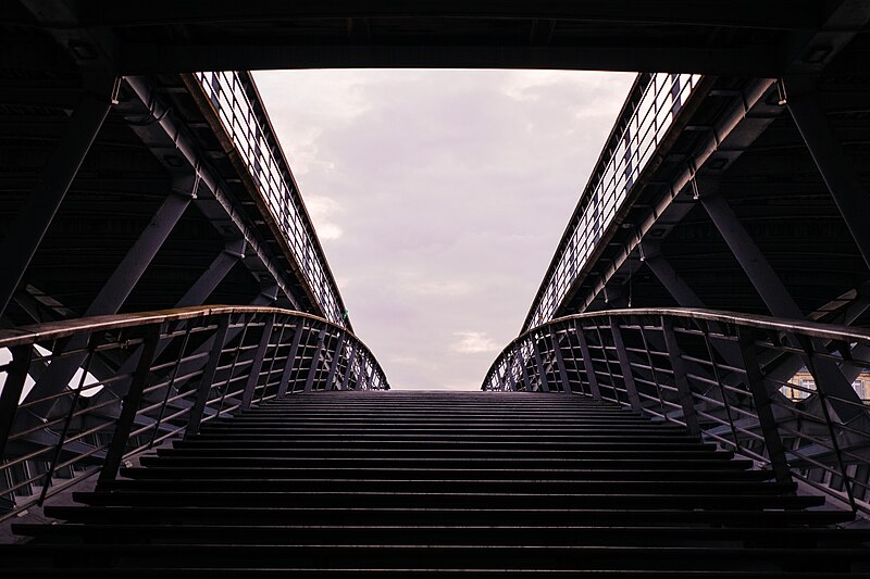 File:Passerelle Léopold-Sédar-Senghor by Anthony Delanoix.jpg