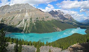 Le lac Peyto, situé dans le parc national de Banff (Alberta ; Canada), avec sa couleur turquoise, vu d’un point de vue sur la Promenade des Glaciers. (définition réelle 2 000 × 1 183)
