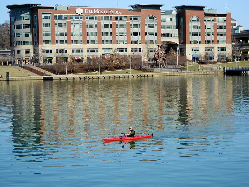 File:Pittsburgh Point Park Punter 1.JPG