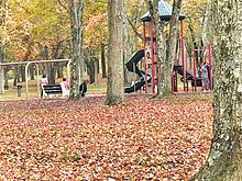 Playground with families at Thompson Park