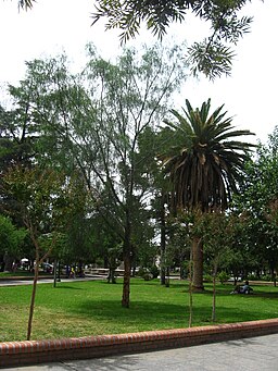 Park i Cafayate.