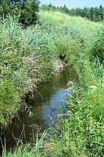 Miniatura Pogoria (potok)