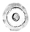 A drawing of the eye of an ancient tiki. The whites of the eyes were made from paua shell.