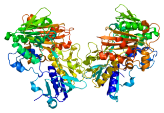 <span class="mw-page-title-main">AIFM1</span> Protein-coding gene in humans