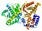 Thumbnail for Choline acetyltransferase