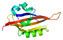 Illustratives Bild des Artikels EPAS1