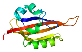 EPAS1 protein-coding gene in the species Homo sapiens