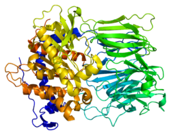 Protein PREP PDB 1e5t.png