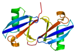 Thumbnail for Ubiquitin B