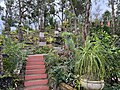 Vallarta Botanical Garden