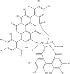 Chemical structure of  punicalagin