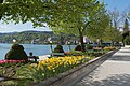 Pörtschach Johannes-Brahms-Promenade Blumenstrand Blumenbeete 22042015 2542.jpg