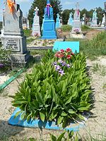 Radovychi Turiyskyi Volynska-grave of Abrashyn.jpg