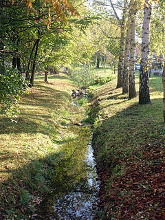 Eastern Rietzschke river in Germany