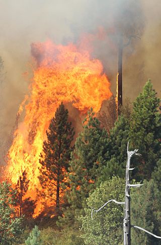 <span class="mw-page-title-main">Rim Fire</span> 2013 wildfire in Central California