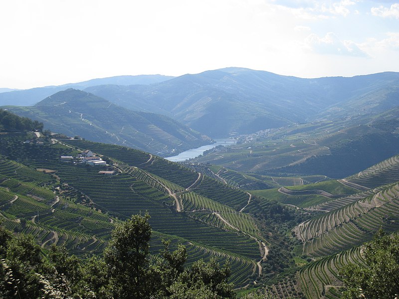 File:Rio Douro - panoramio.jpg