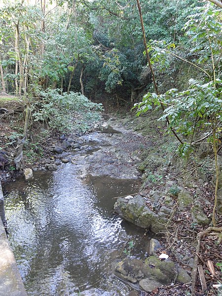 File:Rio Pastillo near PR-501 at Km 4.6 in Barrio Marueño (DSC02292A).jpg