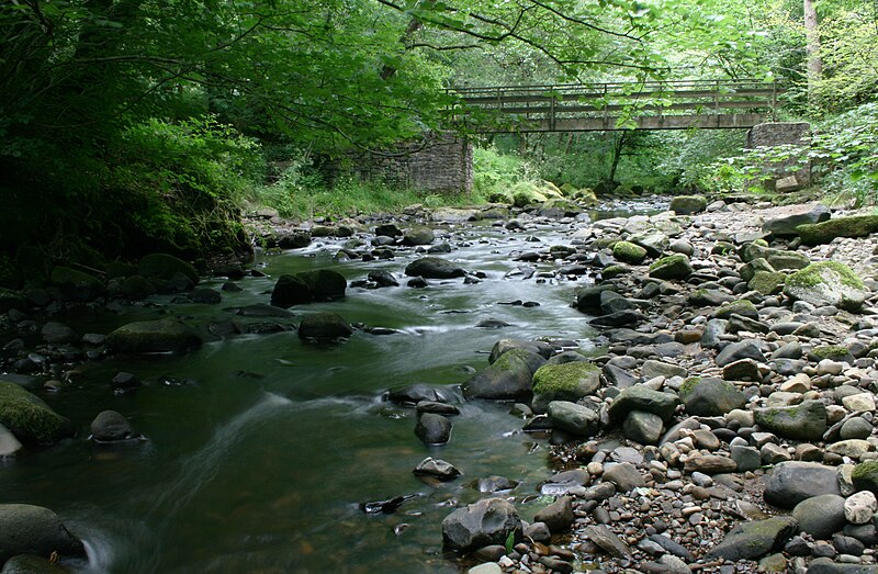 File:River Brock and Footbridge - geograph.org.uk - 4579956.jpg