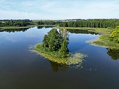 Dąbniaczek (German: Eichwerder, meaning Oak Island) — the only named island on the Lake Ruda Woda[7]