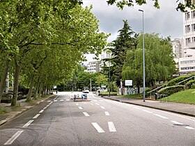 A Rue des Alliés cikk illusztráló képe