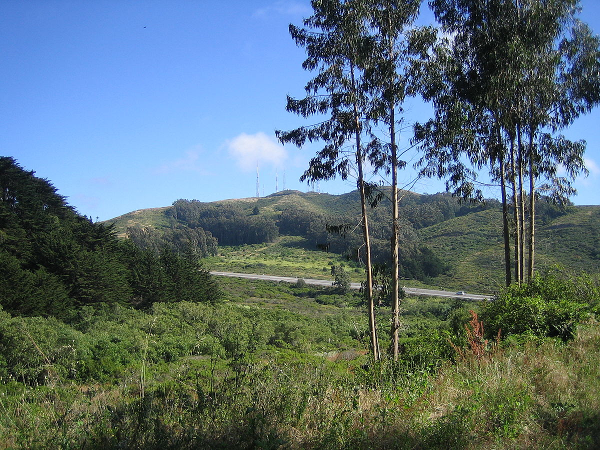 San Bruno Mountain State Park