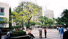 Central Park in San Pedro Sula, where several cultural events take place throughout the year. Sanpedrosula11.jpg