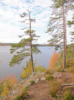 Näkymä Saraakalliolta Saraavedelle