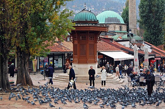 Pigeon Square.