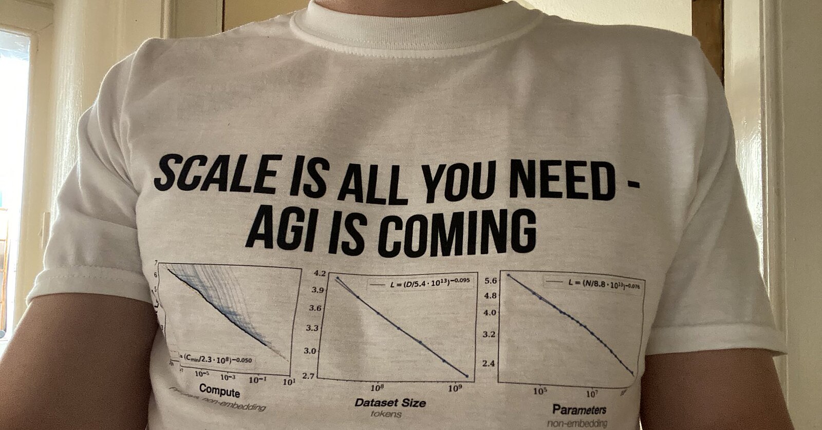 Person with a shirt that reads: "SCALE IS ALL YOU NEED - AGI IS COMING" above three graphs demonstrating the 'AI scaling laws'