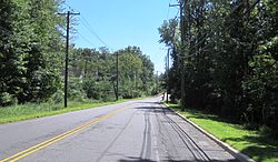 Schalks Crossing Road (CR 683) бойымен оңтүстікке қарай Солтүстік-Шығыс дәлізінің эстакадасына жақындайды