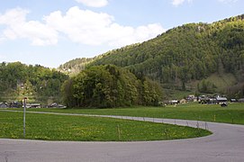 Schnepfau-Natural monument Waldinsel Burg-01ASD.jpg