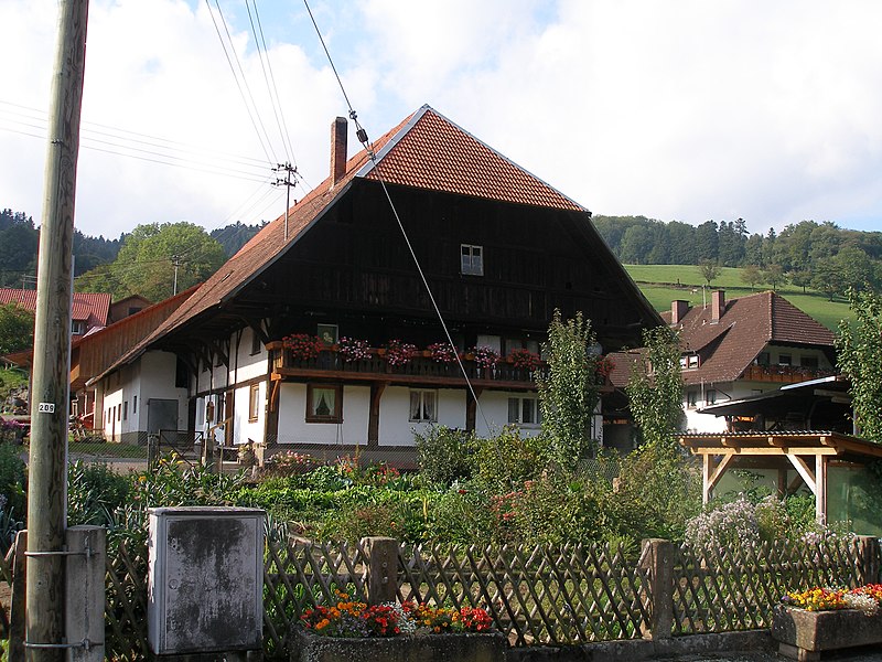 File:Schwarzwald 2012 45.jpg