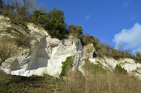 Seale Chalk Pit 02