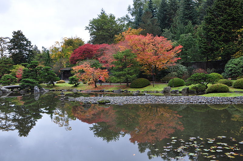 File:Seattle Japanese garden 2011 21.jpg