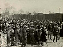 [Imagen: 220px-Selection_on_the_ramp_at_Auschwitz...%29_1c.jpg]