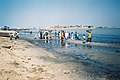 Fiskarar ved breidda av Senegal-estuaret ved utkanten av Saint-Louis i Senegal.