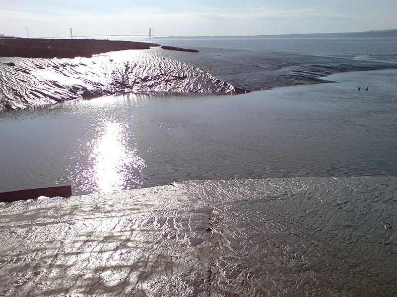 File:Severn Bridge from Thornbury SC at Oldbury - geograph.org.uk - 1755370.jpg