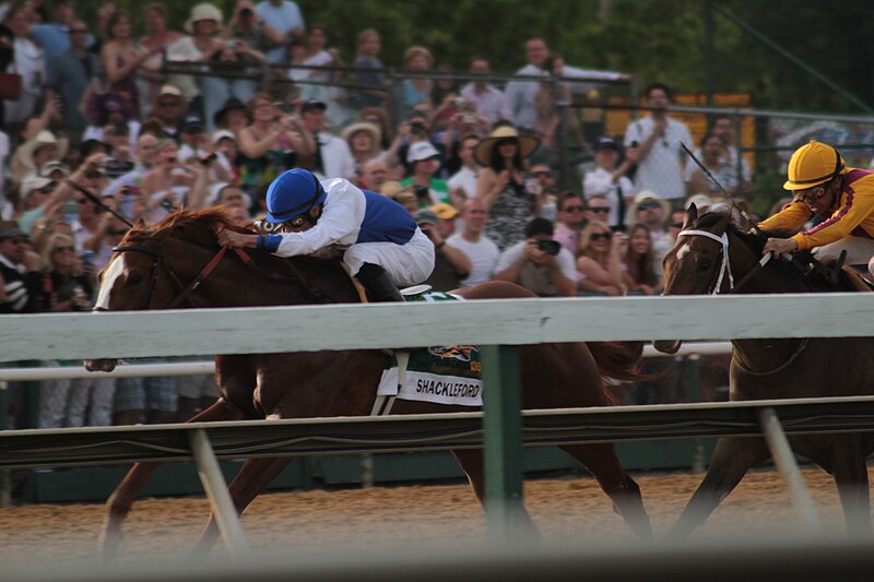 File:Shackleford preakness winner.jpg