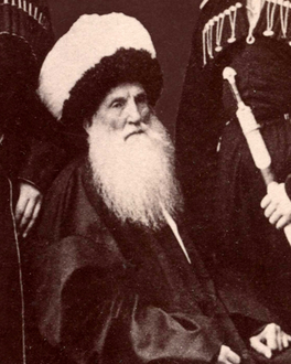 Sheikh Shamil Gimrinskiy.png