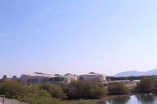 <span class="mw-page-title-main">Kalba Mangrove reserve</span> Protected area in the emirate of Sharjah