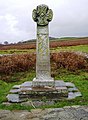 Místo Capel Gwladys - geograph.org.uk - 625593.jpg